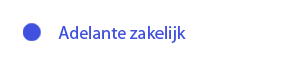 Adelante zakelijk